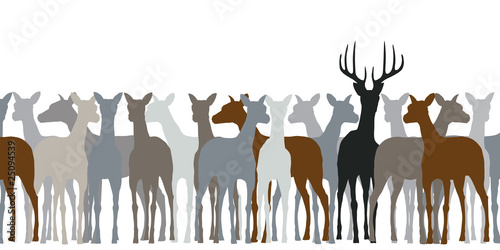 Deer herd