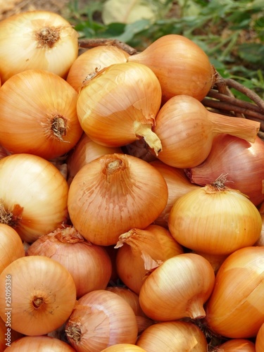 A basket of onion
