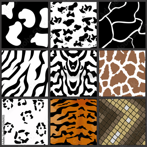 animal textures