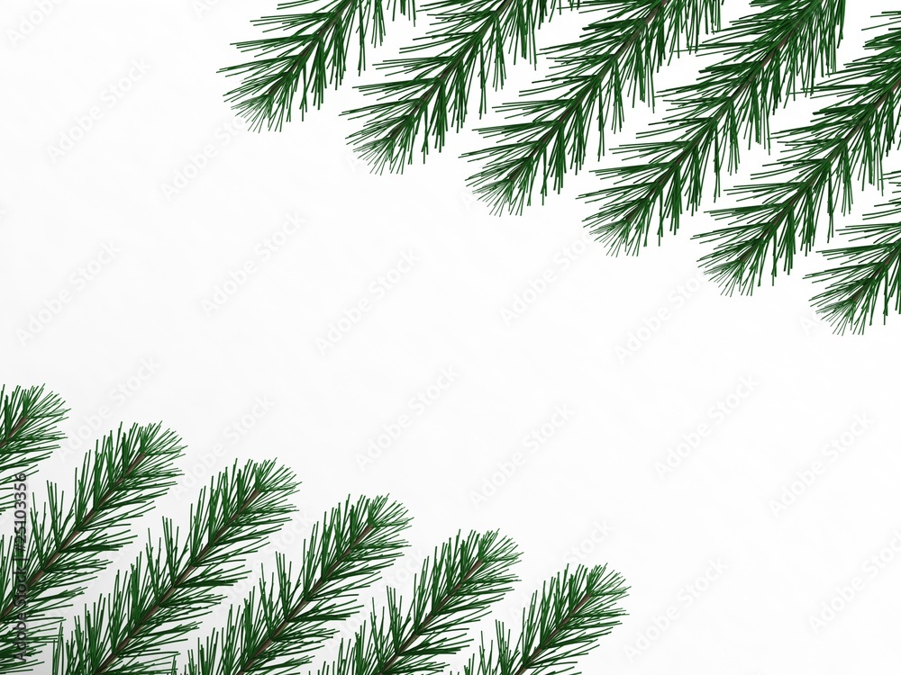 pine branches with empty space pine branches with empty space