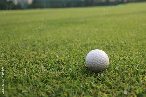 Golf Ball on Freshly Cut Fairway