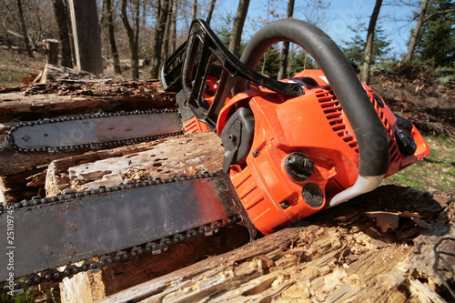 Wallpaper Mural tronçonneuse usagées sur tas de bois en forez Torontodigital.ca