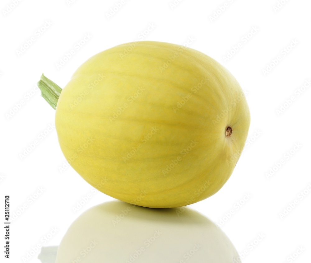 decorative yellow squash decorative yellow squash