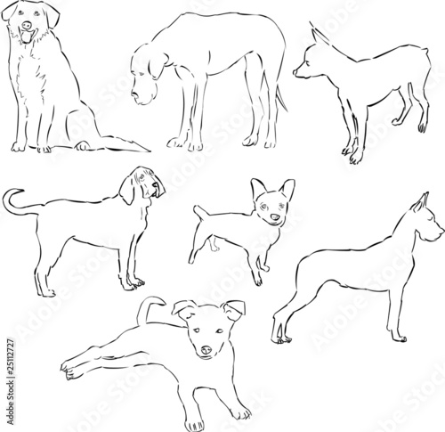 Obraz na płótnie Dogs w salonie