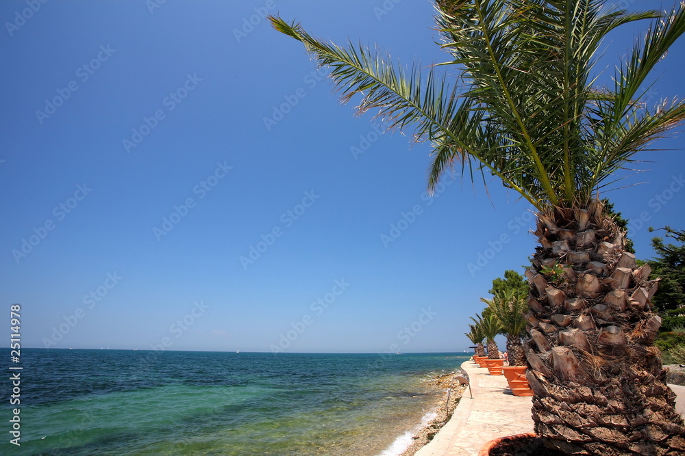 Obraz premium Adriatic