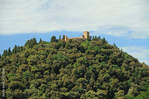 castle on green hill