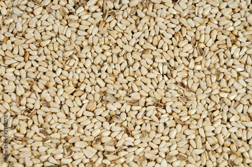 Safflower seeds close up as background