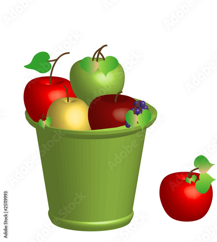 crop of apples in a bucket