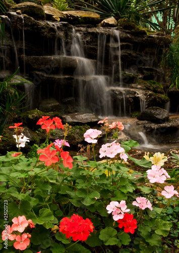 Fototapeta Naklejka Na Ścianę i Meble -  Waterfall and flower
