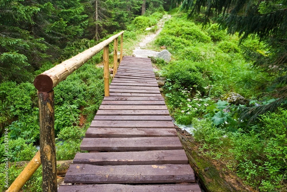 Obraz premium wooden bridge on a forest river