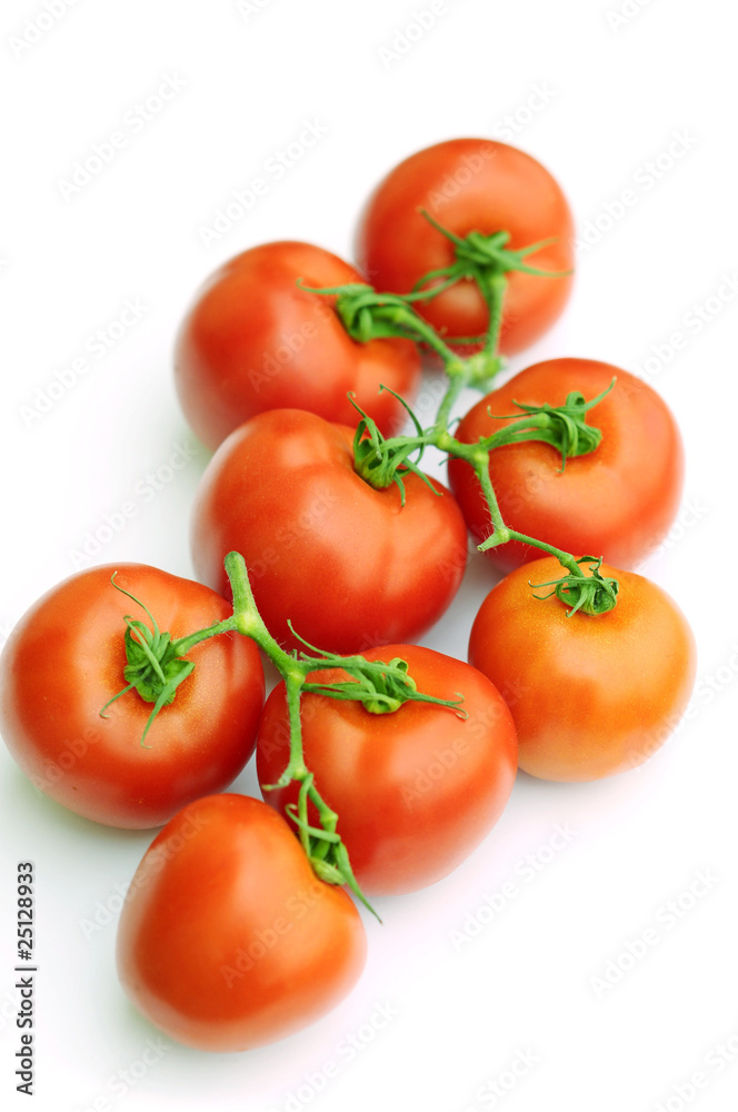 Tomatoes on white background Tomatoes on white background