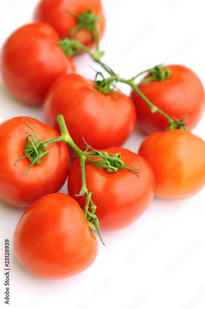 Tomatoes on white background Tomatoes on white background