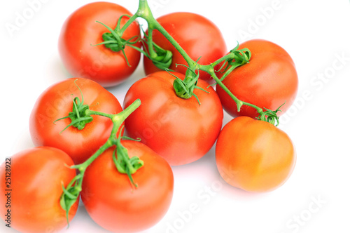 Tomato stem on white background