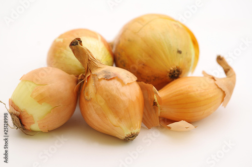 Onion on white background