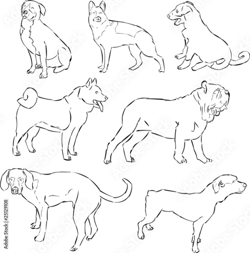 Dogs Psy