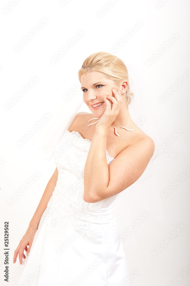 beautiful bride in white wedding dress and veil beautiful bride in white wedding dress and veil