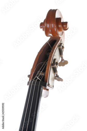 headstock contrabass.