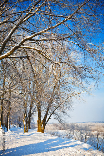 park at winter