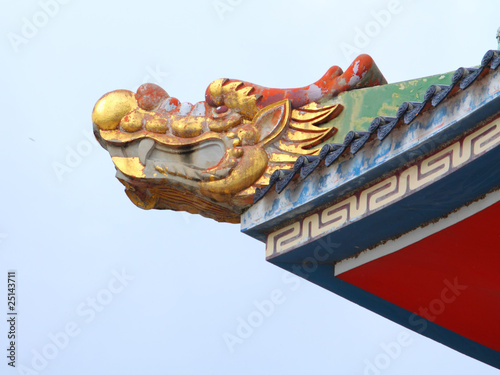 An chinese dragon f photo