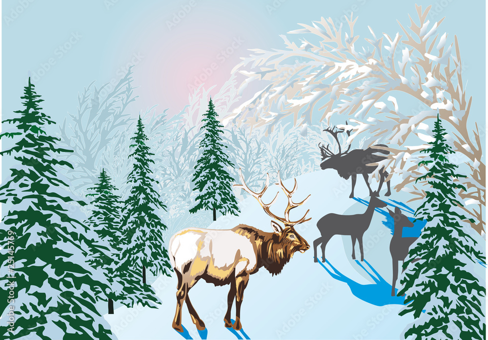 deers in winter forest deers in winter forest