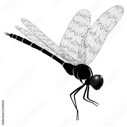 Vector dragonfly represented in the form of a tattoo