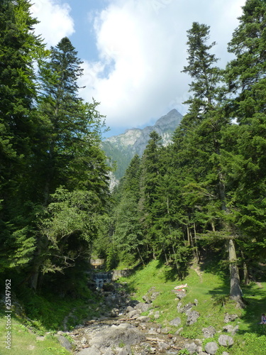 Bucegi Mountain 16