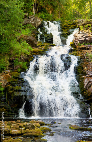 Beautiful landscape with wood and a waterfalls.