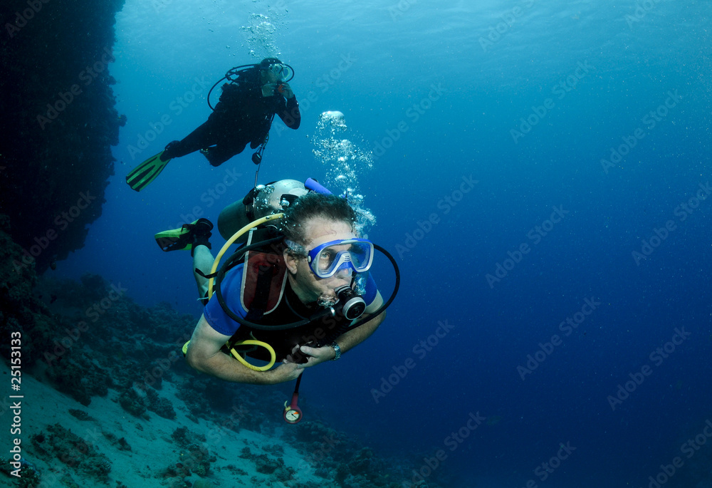 scuba divers scuba divers