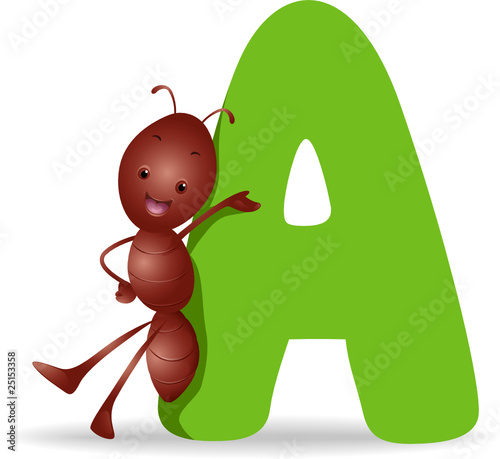 A for Ants