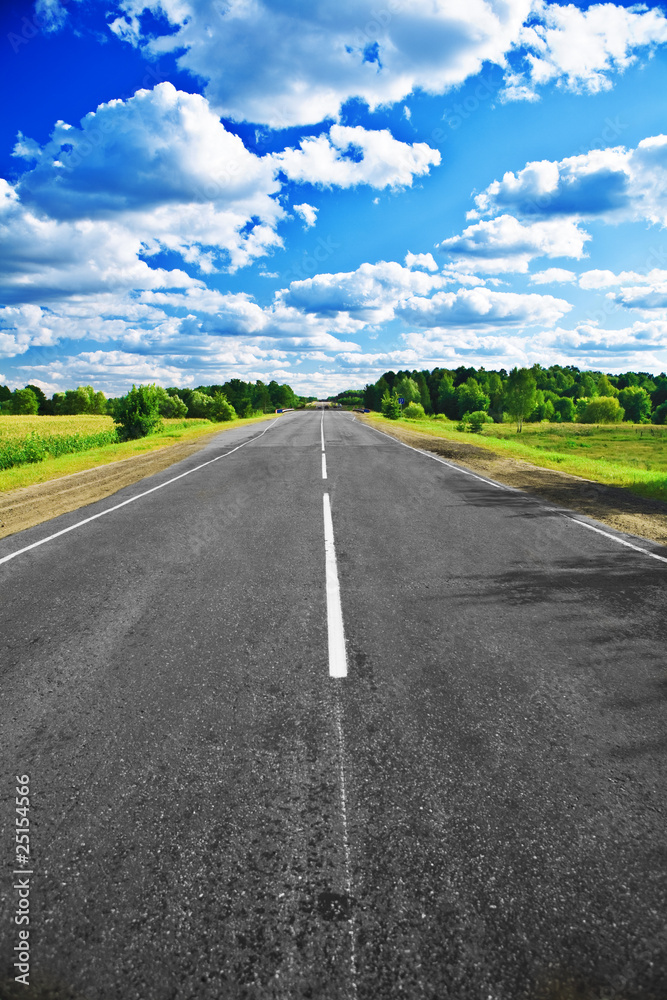 road on field and forest
