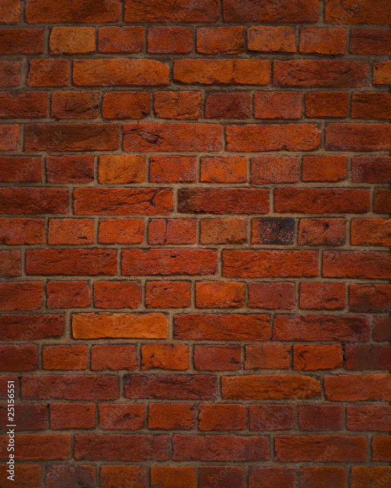 Fototapeta premium brick wall