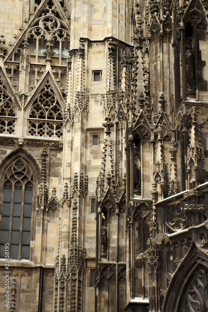 Stephansom cathedral in Vienna