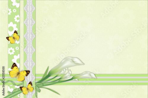 Three calla lilies background photo