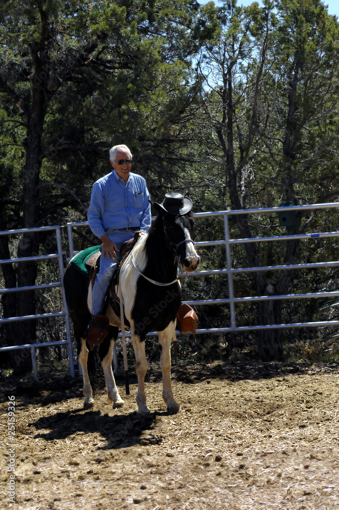 Cowboy Horsing Around Cowboy Horsing Around