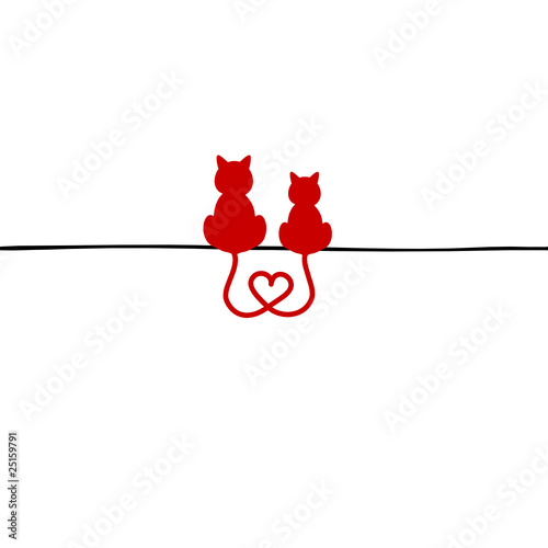 2 Sitting Cats in Love
