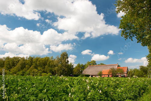 Farm house in landscape with potatoes photo