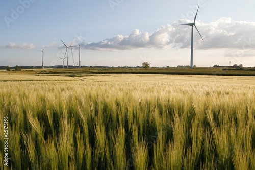 Windkraftanlagen in der Uckermark - Deutschland