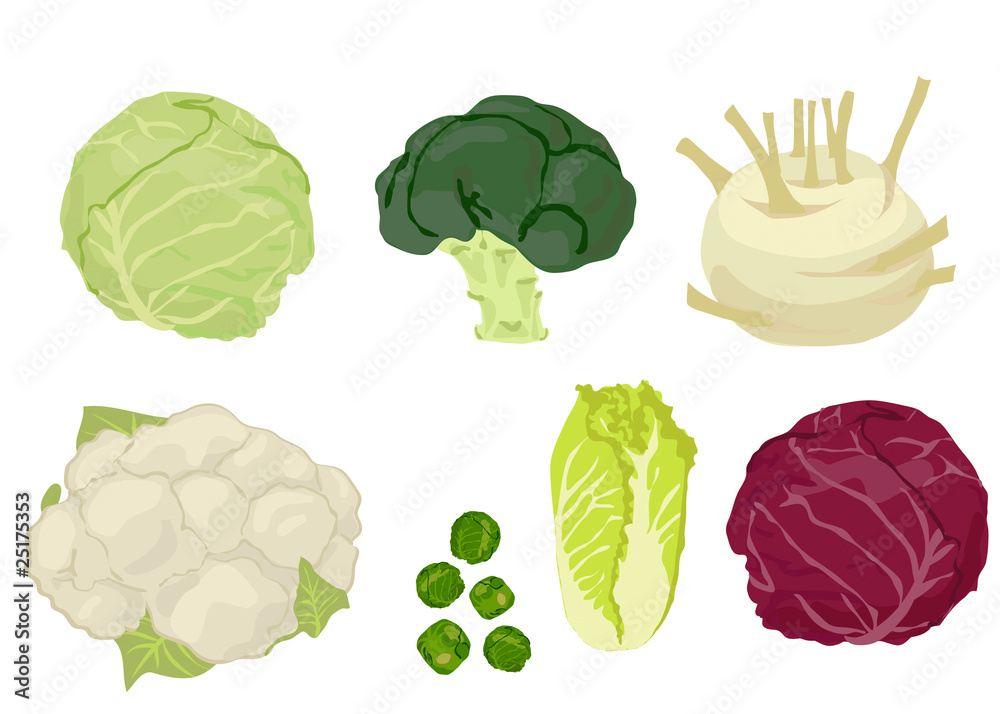 Cabbages Cabbages