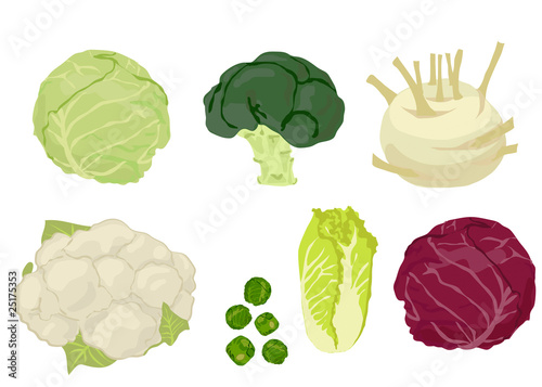 Cabbages