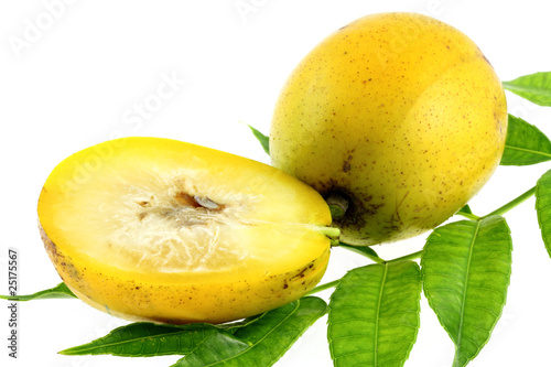 Fototapeta Naklejka Na Ścianę i Meble -  pomme de cythère, prune de cythère, évi,  fond blanc