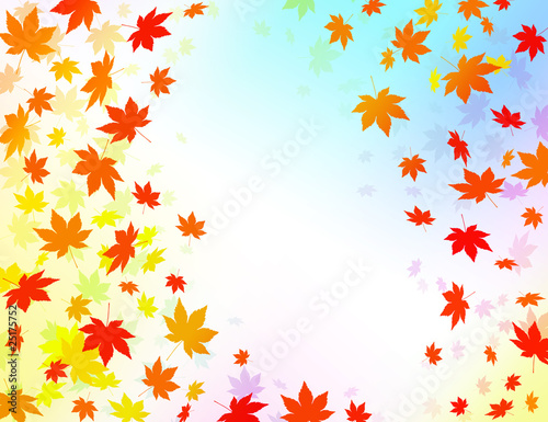Wallpaper Mural もみじ模様 Torontodigital.ca