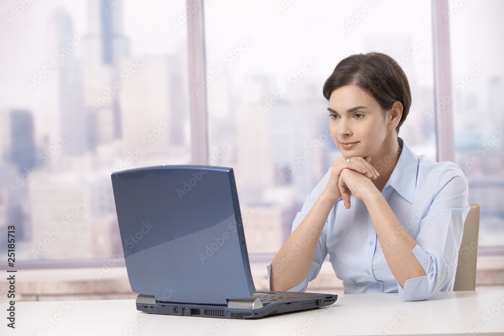 Professional woman with laptop computer Professional woman with laptop computer