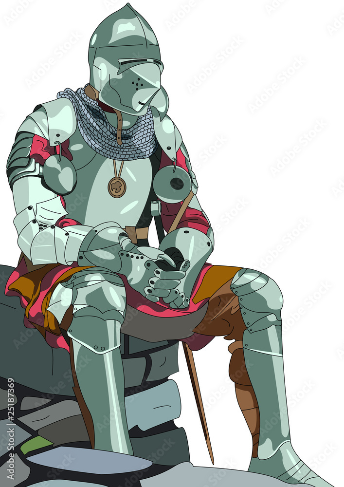 Fototapeta premium knight colored