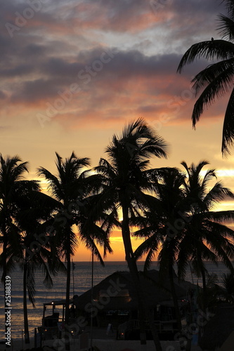 palme al tramonto © marcodeepsub