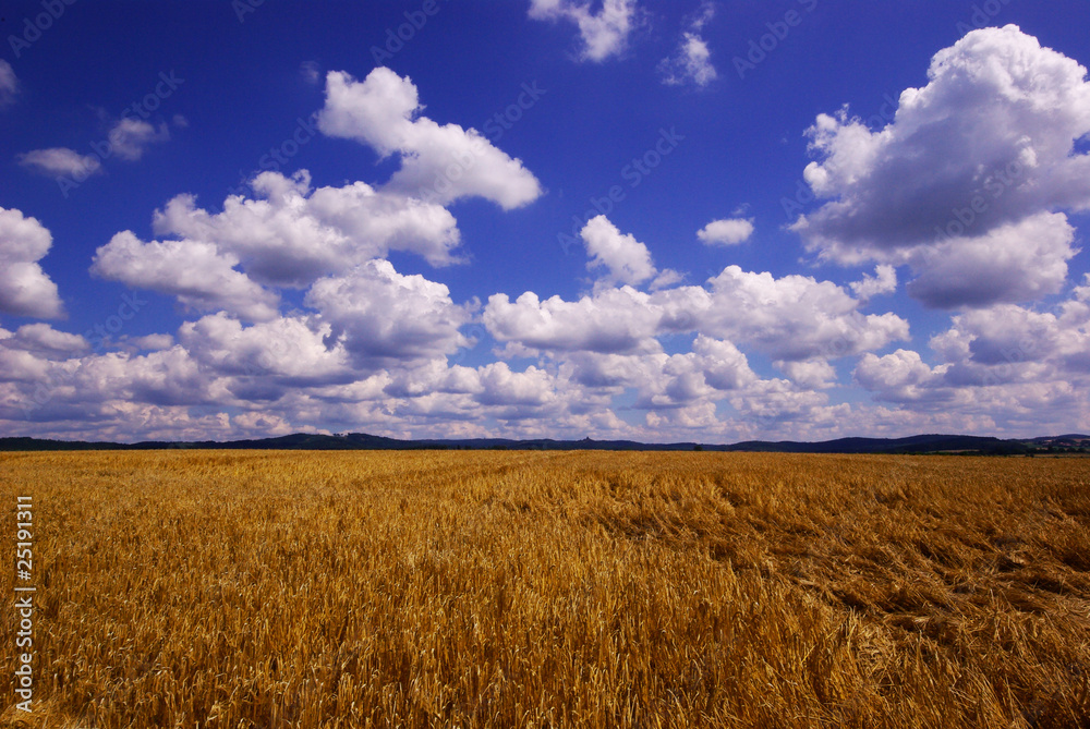 clouds clouds