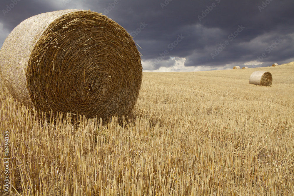 campo con cielo nuvoloso