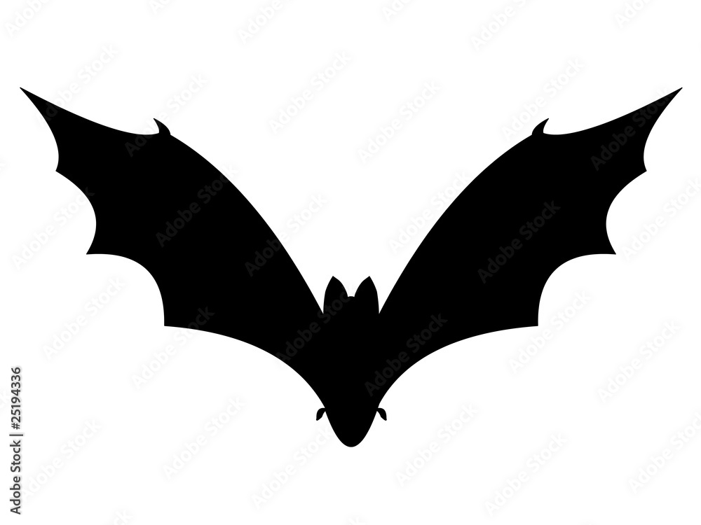 Chauve souris