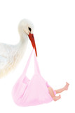 Storch mit Baby im rosa Beutel