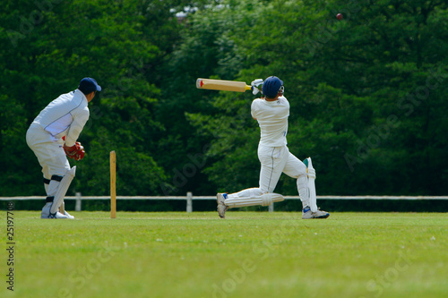 Obraz na płótnie Cricketer playing a shot