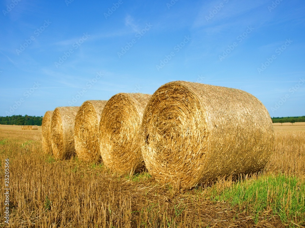 Straw on the summer field